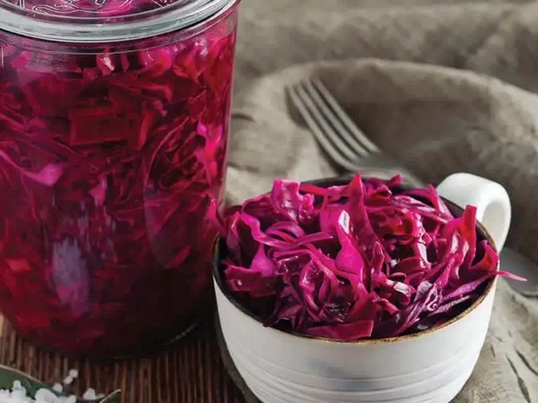 تصویر 2 از خرید و قیمت کلم قرمز + فروش عمده